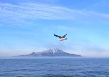 Остров Харимкотан в Охотском море