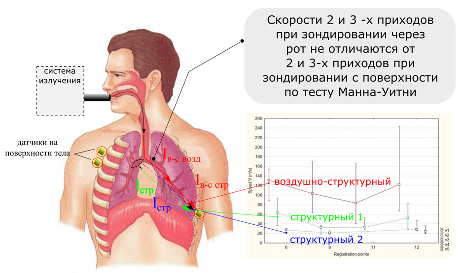 Кардиореспираторное мониторирование